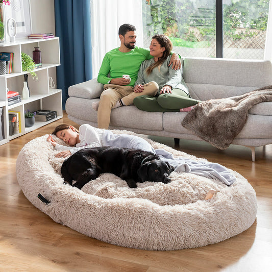 Koiran vuode ihmisille | Human Dog Bed XXL InnovaGoods Beige